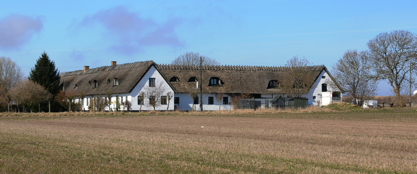 Tvillingegård 2009. Foto: Jørgen D. Petersen. 