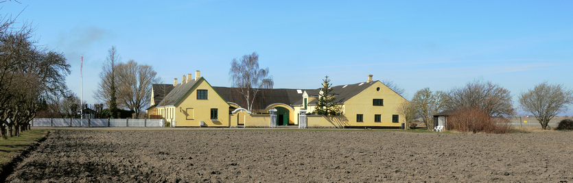 Hjørnegård 2009. Foto: Jørgen D. Petersen.